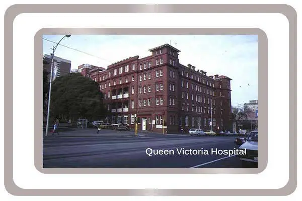 GripMagic-Testimonials