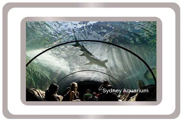 GripMagic Non-SlipFloor Treatment Testimonials